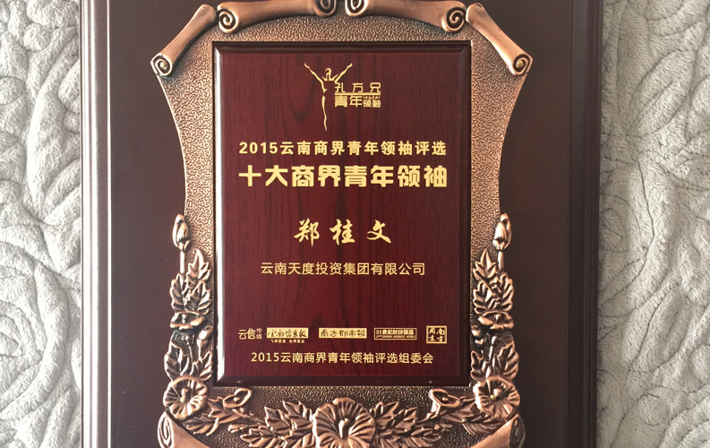 在“互聯(lián)網(wǎng)大時(shí)代”的背景下，天度作為本土很大和很有名的互聯(lián)網(wǎng)服務(wù)企業(yè)，為近萬家傳統(tǒng)企業(yè)轉(zhuǎn)型互聯(lián)網(wǎng)+提供了服務(wù)和幫助，獲此獎(jiǎng)項(xiàng)后，我們將再接再厲，創(chuàng)造更高的社會(huì)價(jià)值